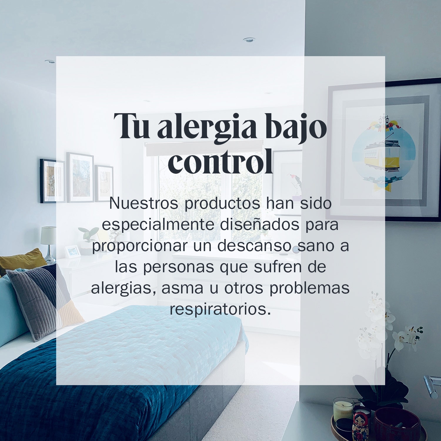 triple barrera- antialergia
